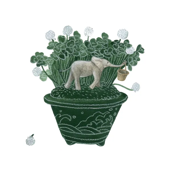 庄野ナホコ「ちいさなゾウ」絵本原画展