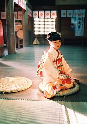 kotorikurassi.jpgのサムネール画像のサムネール画像